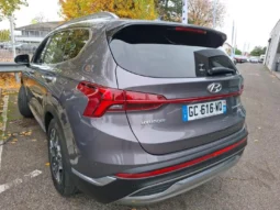 
										Hyundai SANTA FE complet									